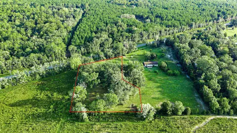 Tbd Puckett Rd, Perry, FL 32348 photo 3