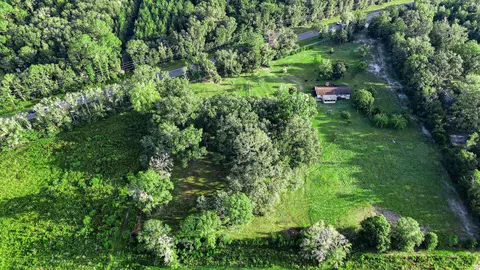 Tbd Puckett Rd, Perry, FL 32348 photo 4