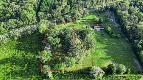 Tbd Puckett Rd, Perry, FL 32348 photo 5