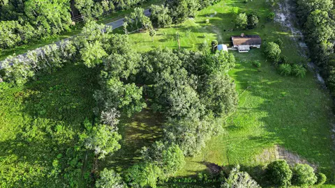 Tbd Puckett Rd, Perry, FL 32348 photo 6