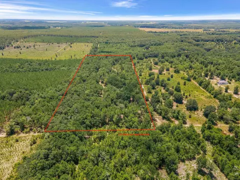Vacant NE Cedar Trail, Pinetta Madison County, FL 32350