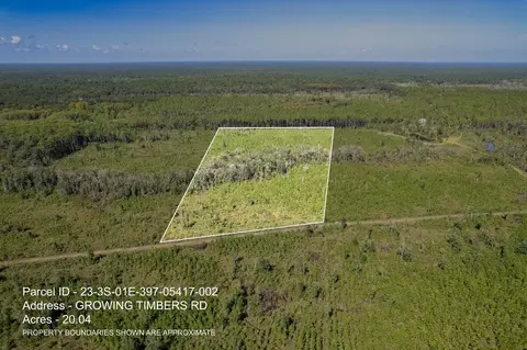 lot2 Growing Timbers Rd, Crawfordville, FL 32327