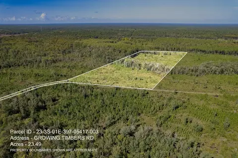 lot3 Growing Timbers Rd, Crawfordville, FL 32327