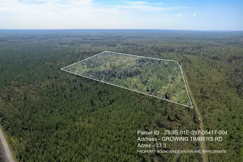 lot4 Growing Timbers Rd, Crawfordville, FL 32327