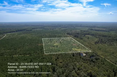 lot8 Barn Feed Rd, Crawfordville, FL 32327