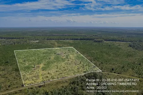 lot11 Growing Timbers Rd, Crawfordville, FL 32327