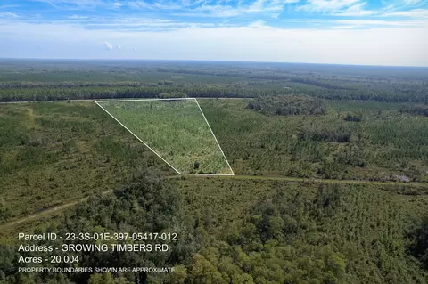lot12 Growing Timbers Rd, Crawfordville, FL 32327