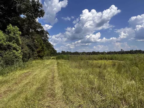 Nn Davis Road, Quincy, FL 32351