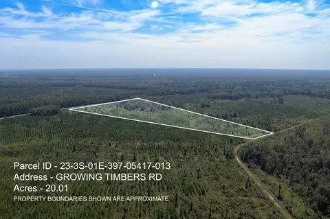 lot13 Growing Timbers Rd, Crawfordville, FL 32327