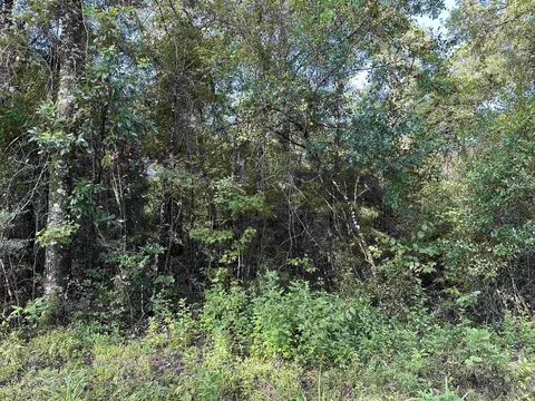 52 Renegade Road, Crawfordville, FL 32327
