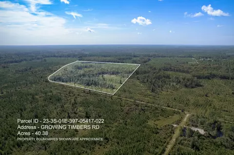 Lot 22 Growing Timbers Road, Crawfordville, FL 32327