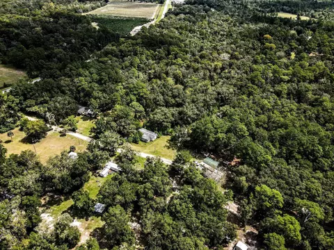 3080 David Horton Rd, Perry, FL 32348 photo 5