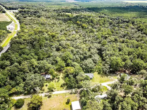 3080 David Horton Rd, Perry, FL 32348 photo 3