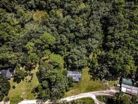 3080 David Horton Rd, Perry, FL 32348 photo 6