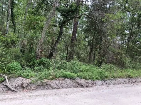 lot8 Surf Rd, Ochlockonee Bay, FL 32346