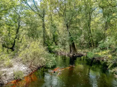 Oak Park Road, Sopchoppy, FL 32358