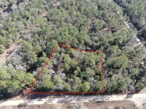 Vacant NE Blackjack Loop, Lee, FL 32059