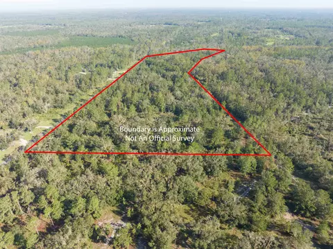 Vacant 29.54 Osteen Rd, Perry, FL 32348