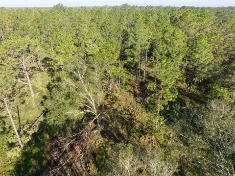30 Osteen Road, Perry, FL 32348 photo 10