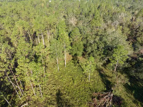 30 Osteen Road, Perry, FL 32348 photo 7