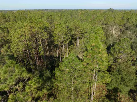 30 Osteen Road, Perry, FL 32348 photo 8