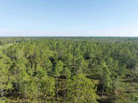 30 Osteen Road, Perry, FL 32348 photo 16