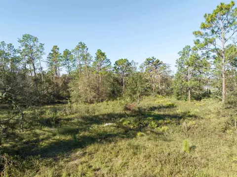 30 Osteen Road, Perry, FL 32348 photo 13