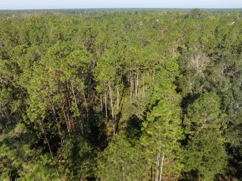 30 Osteen Road, Perry, FL 32348 photo 9