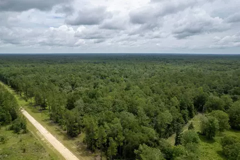 Vacant NE Blue Ridge Landing Avenue, Lee, FL 32059