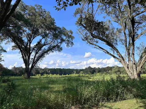 Lot 32 Ashville Highway, Greenville, FL 32331
