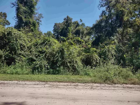 Nn Appaloosa Road, Crawfordville, FL 32327