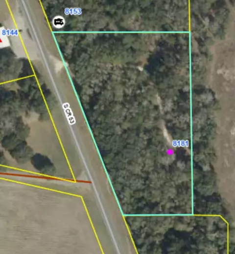 8181 S Cr 53 Rd, Madison, FL 32340