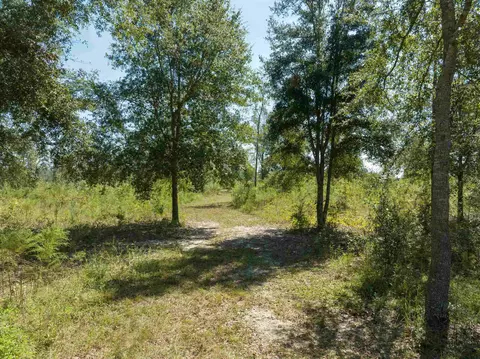 1704 NE Fern Ave, Pinetta Madison County, FL 32350