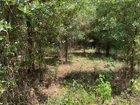 129 Richardson Rd, Crawfordville, FL 32327