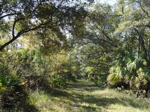 00 Econfina River Rd, Lamont, FL 32336