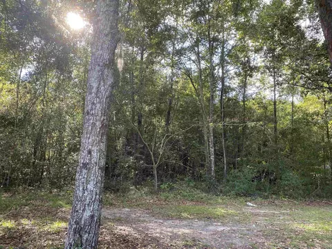 Nn Fleischmann Road, Tallahassee, FL 32308