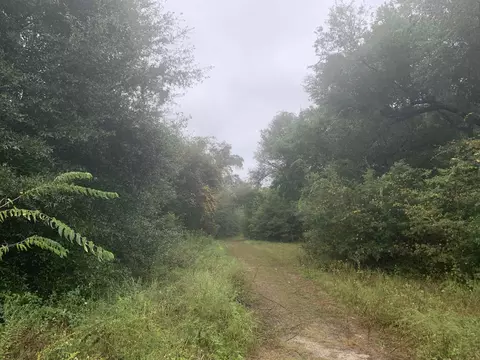 19253 NW State Road 12 Rd, Bristol, FL 32321