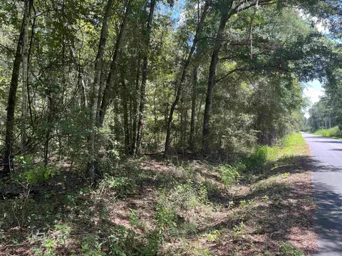 Nn Taylor Parcel #2 Road, Monticello, FL 32344