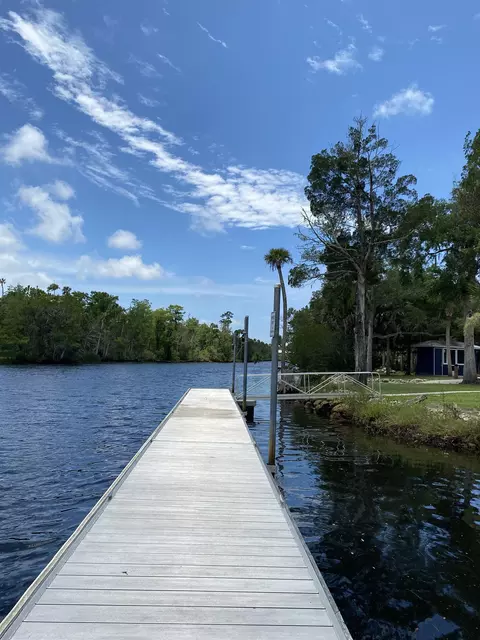 1258 Rivers Bend Xing, Steinhatchee, FL 32359 photo 28