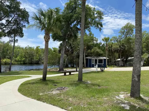 1258 Rivers Bend Xing, Steinhatchee, FL 32359 photo 23