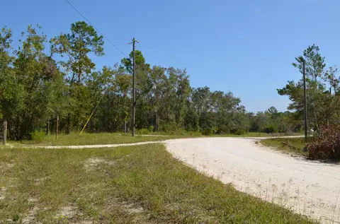 Tbd Antler Lane, Keaton Beach, FL 32348