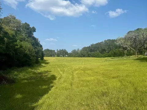 Vacant NE Post Road, Pinetta Madison County, FL 32340