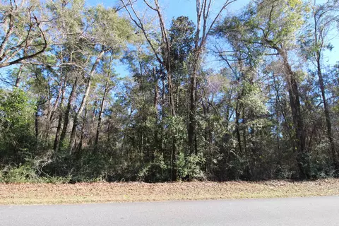 Old Bethel Road, Crawfordville, FL 32327