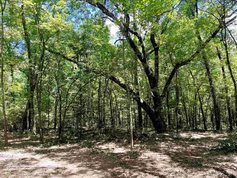 Tbd Aucilla Plantation Court, Greenville, FL 32331