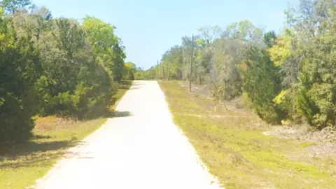 Royal Oak Drive, Perry, FL 32348 photo 2