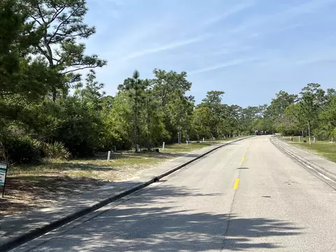 146 Anhinga Trl, Carrabelle, FL 32323 photo 8