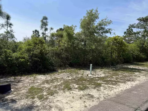 146 Anhinga Trl, Carrabelle, FL 32323 photo 2