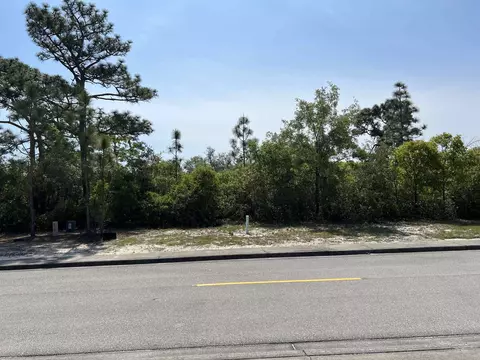146 Anhinga Trl, Carrabelle, FL 32323 photo 3