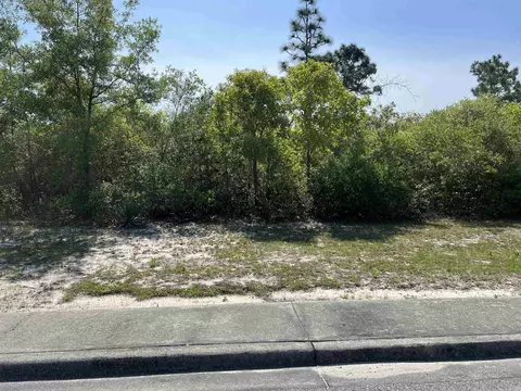 146 Anhinga Trl, Carrabelle, FL 32323 photo 5