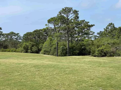 146 Anhinga Trl, Carrabelle, FL 32323 photo 22